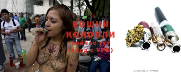дживик Володарск