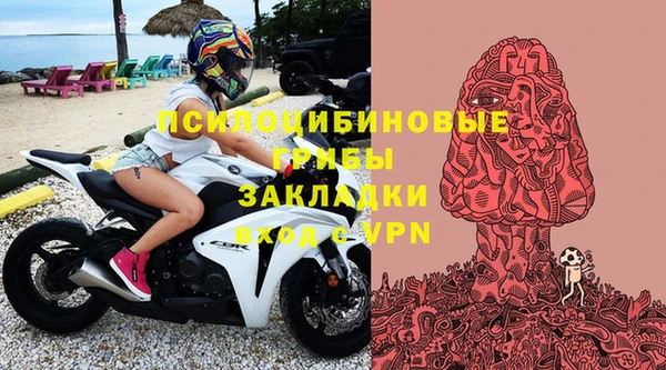 сатива Волоколамск