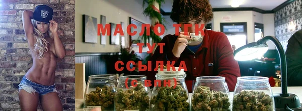 сатива Волоколамск