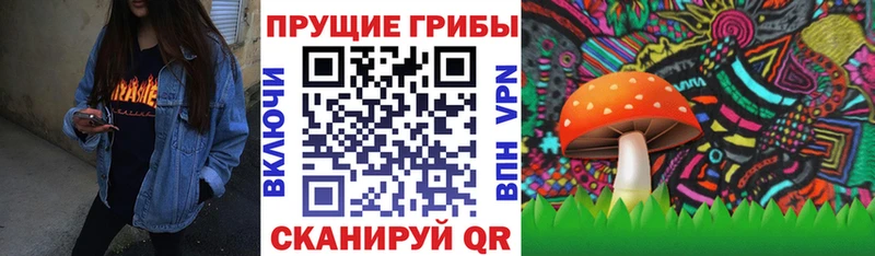 Галлюциногенные грибы Psilocybe  Дорогобуж 
